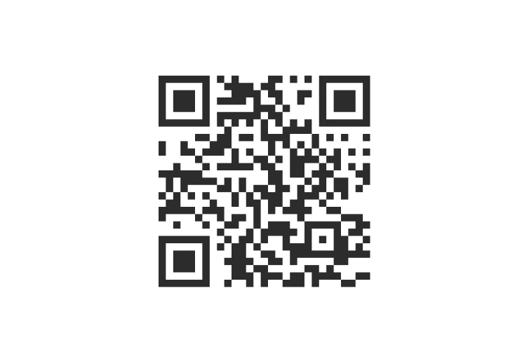 Soundbox QR payments